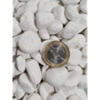 Los mejores  - Piedra Canto Rodado Saco Blanco Especial (99%) (10 Kg- Tamaño: 10-20mm)
